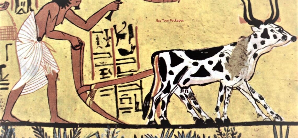 agriculture in ancient Egypt