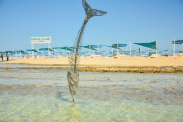 Mejores Excursiones en Safaga: Tour Todo Incluido de Snorkel a Isla Bianca Utopia