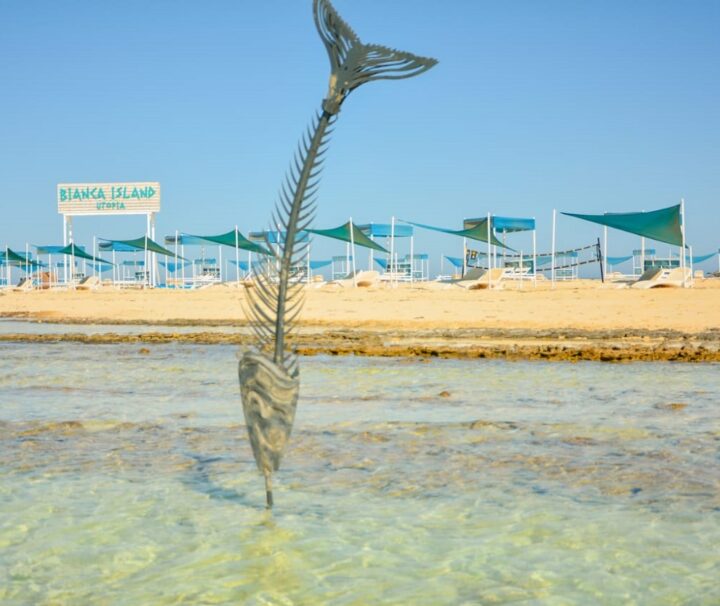 Bianca Island Utopia All-inclusive Snorkeling from Safaga