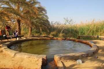 9 Days Cairo Siwa Oasis and Nile Cruise  