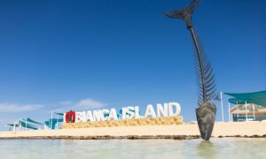 Bianca Island All Inclusive Snorkeling trip