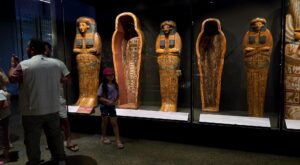 Wooden sarcophagi from GEM