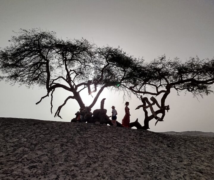 Itinéraire de 15 jours en Égypte avec croisière en Dahabiya