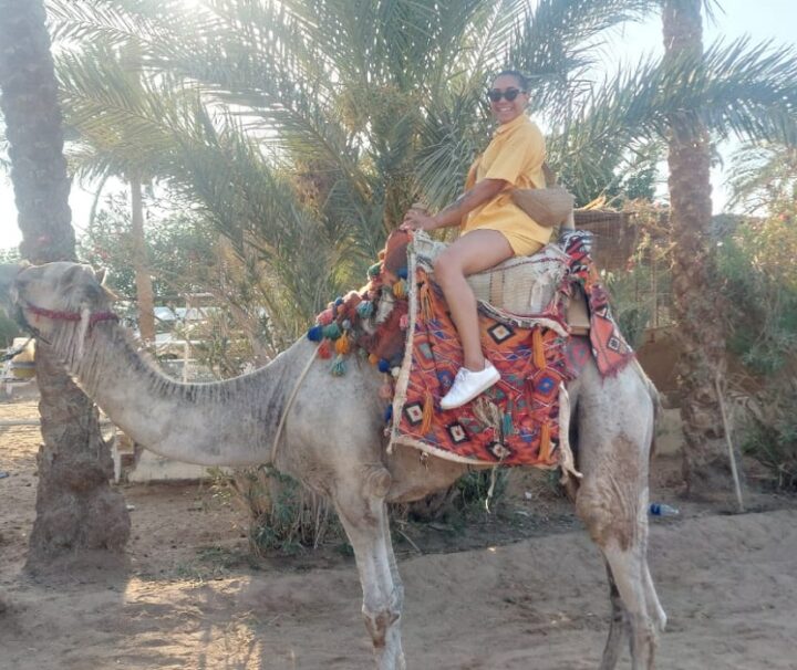 Safari per osservare le stelle di Sahl Hasheesh