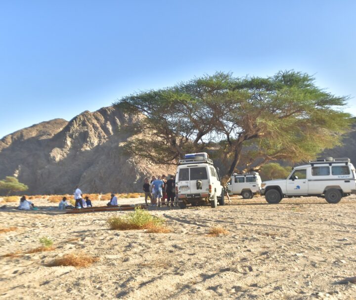 Golden Safari tour from Marsa Alam