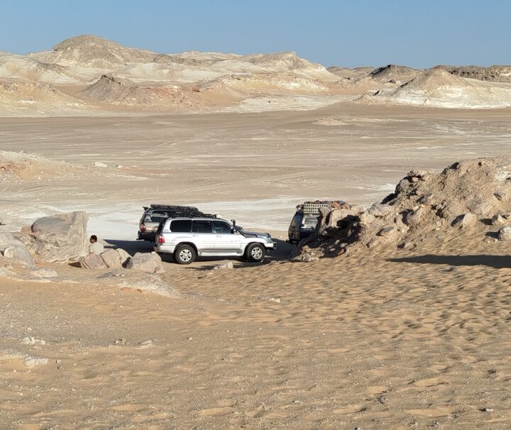 Golden Safari tour from Marsa Alam
