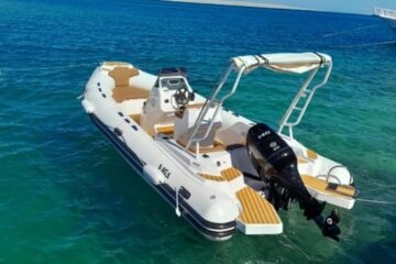 4-Hour Private Speedboat to Dolphin House & Paradise Island