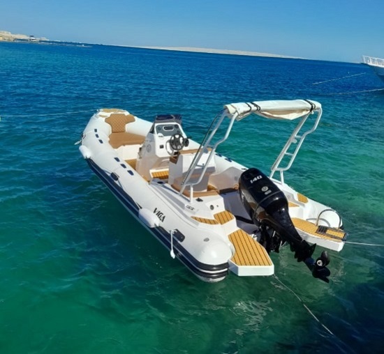 4-Hour Private Speedboat to Dolphin House & Paradise Island