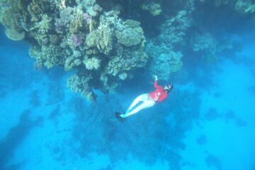 Elite VIP Snorkeling Yacht trip in Hurghada