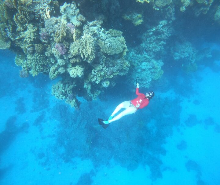 Elite VIP Snorkeling Yacht trip in Hurghada